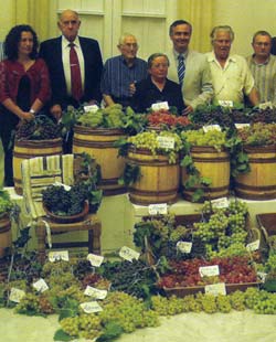 Grupo Ecologista Mediterráneo
